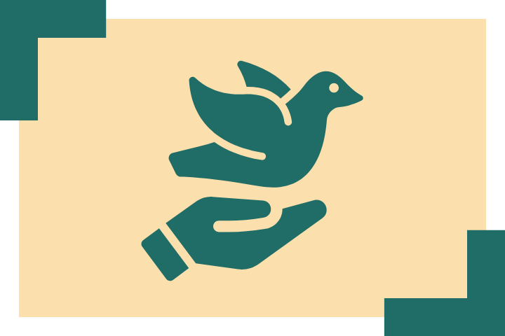 Residencia Algamar: un centro libre de sujeciones físicas y farmacológicas